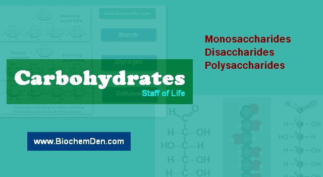 Carbohydrates are Life of Staff. Why