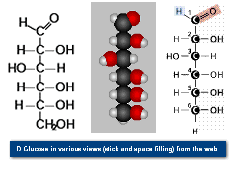 D Glucose in various views stick and space filling from the web