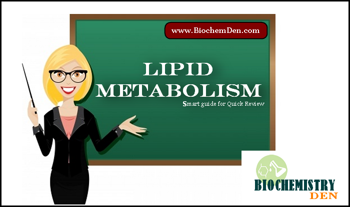 Lipid Metabolism: Simple Smart Guide and Notes