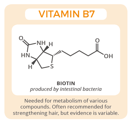 vitamin b7 structure