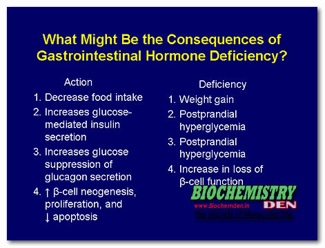 Gastro Intestinal Hormones: Controls Digestive system