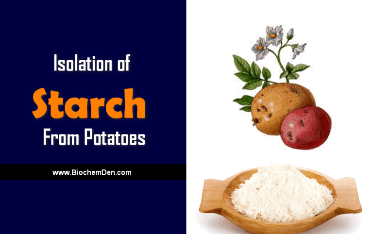 Isolation of Starch from Potatoes
