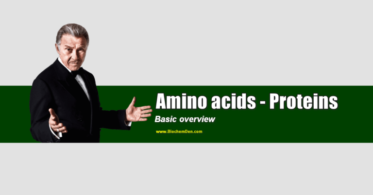 Amino acids – Proteins (Basic Overview)