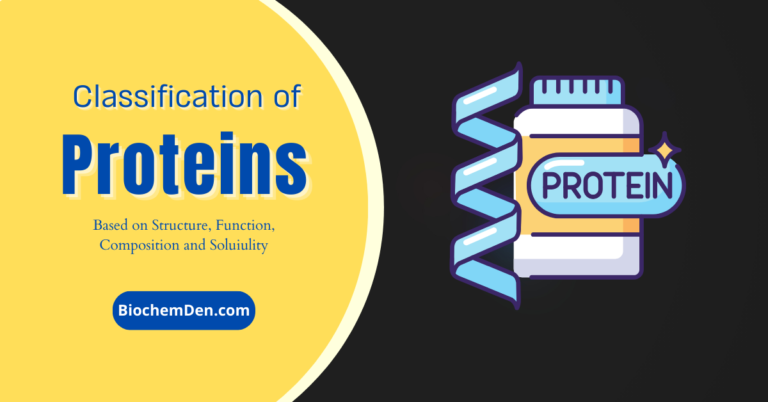 What is the Classification of Proteins in Biochemistry?