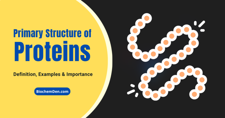 Primary Structure of Proteins