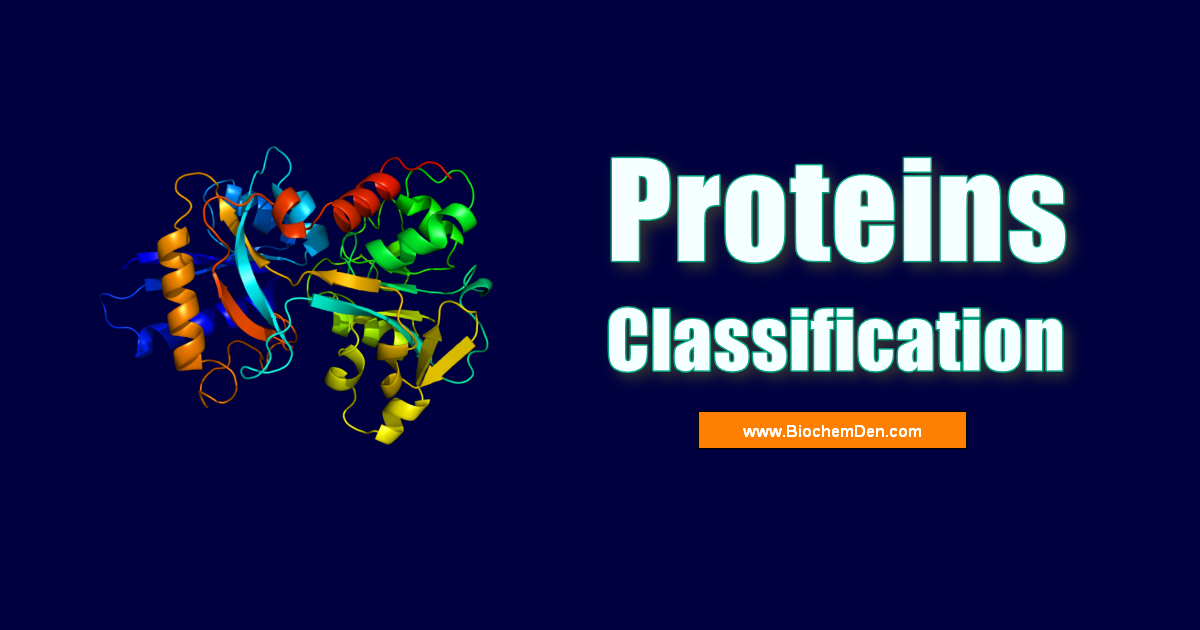 classification of proteins