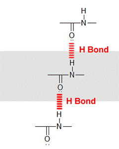 hydrogen bonds in pp