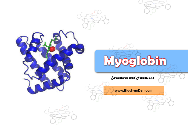 Myoglobin: Structure, Chemistry, Functions and Clinical abnormalities