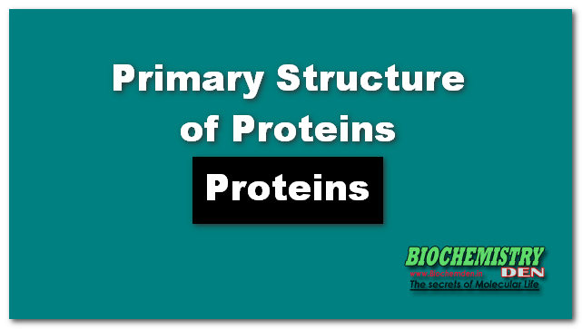 Protein Structure: Primary Structure of proteins