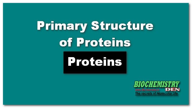 Protein Structure: Primary Structure of proteins