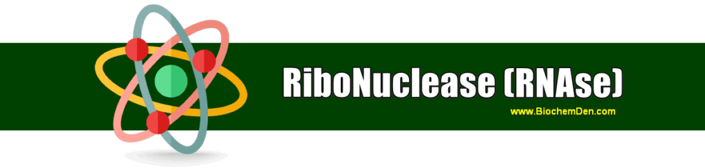 ribonuclease (RNAse) enzyme