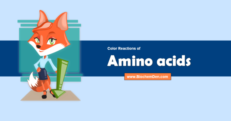 What are the Basic Color reactions of Amino acids?