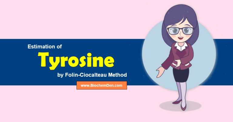 Estimation of Tyrosine by Folin-Ciocalteau Method