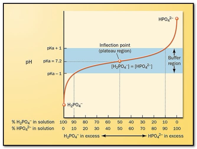 Logarithmic Scale Ph