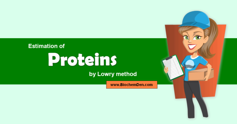 Estimation of Proteins by Lowry method (Quantitative Analysis)
