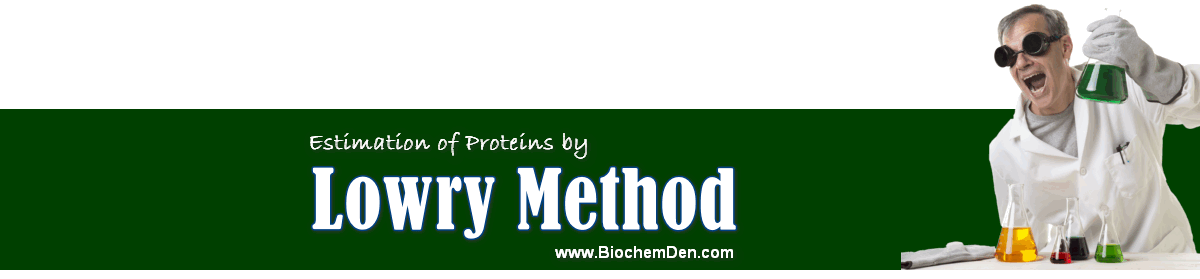 estimation of proteins by Lowry method