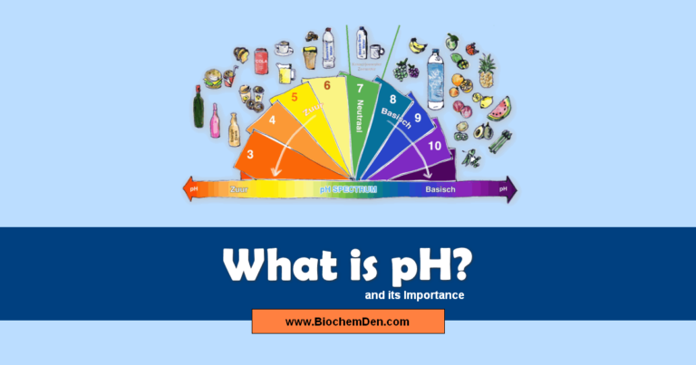 What Are The Basics of pH? Do You Know The Importance?