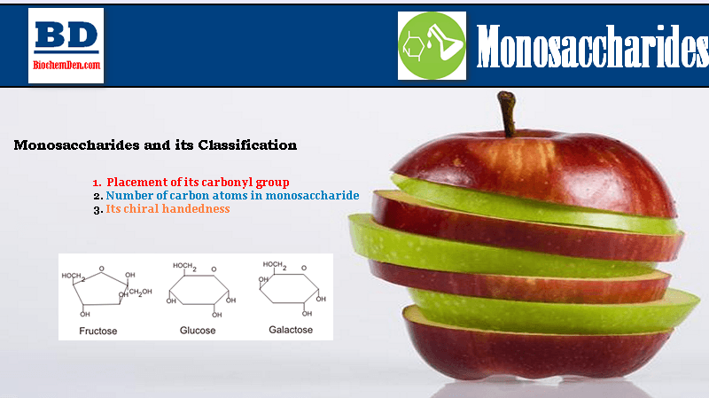 What is Monosaccharide? How to Classify?