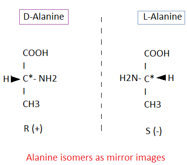 isomeric forms of Alanine