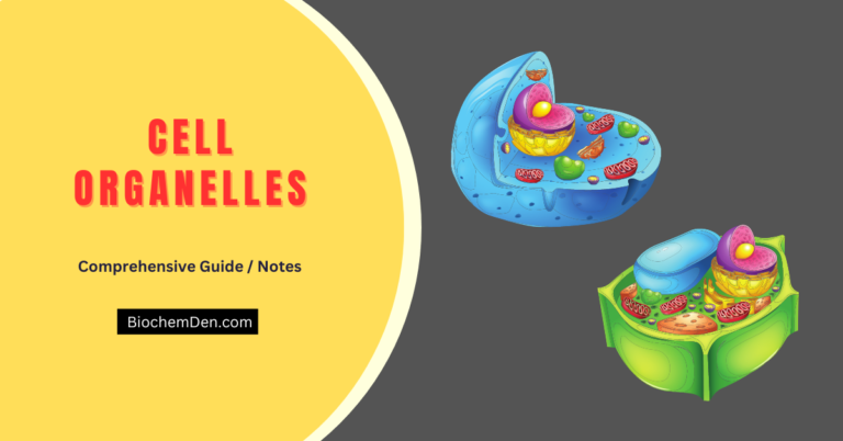 Cell Organelles: An Overview, Structure, and Functions