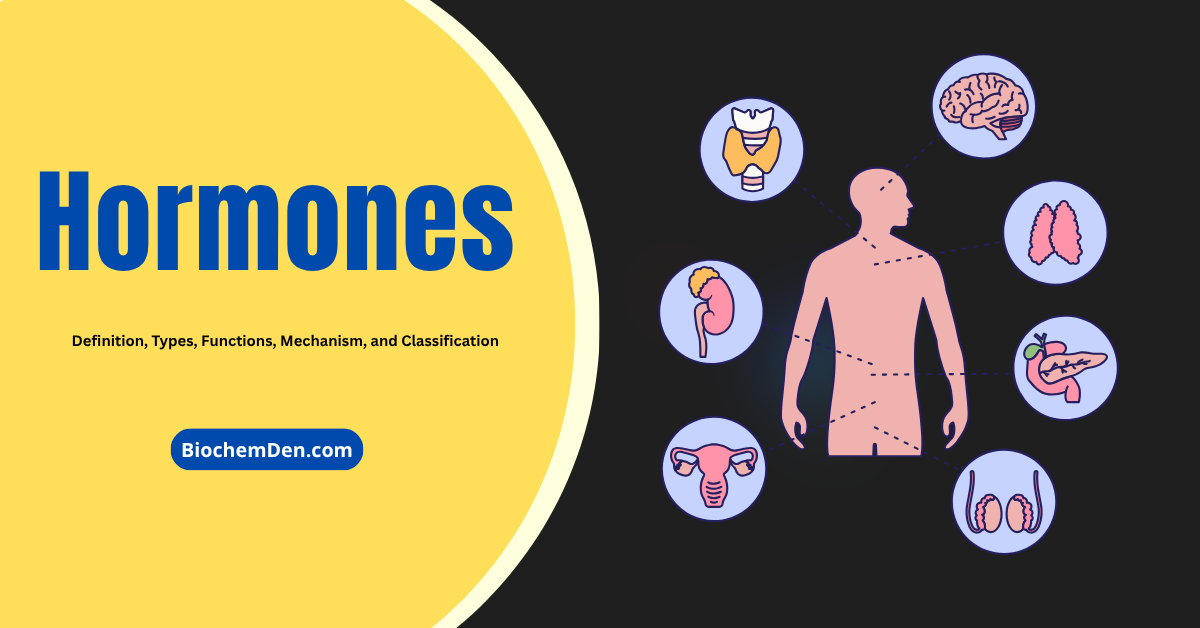 Hormones: Definition, Types, Functions, and Classification
