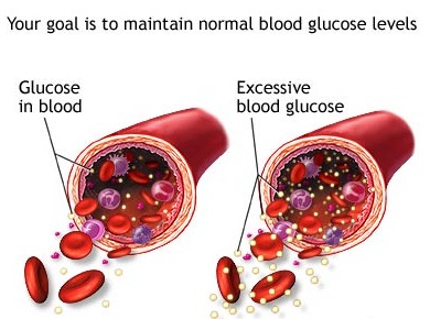 What happens to blood sugar after a meal 3