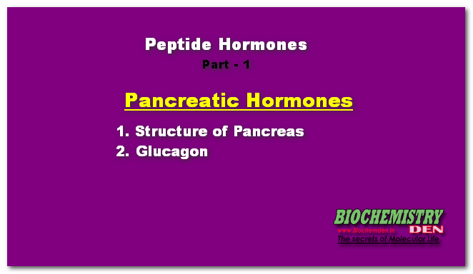 Peptide hormones: Pancreatic secretions - 1