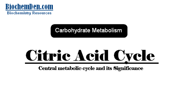 Citric acid cycle : Central metabolic cycle and its Significance