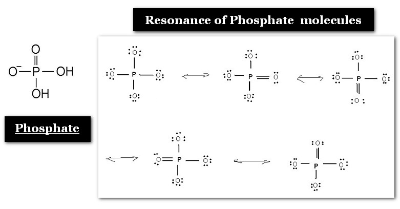 resonance of phosphate molecule
