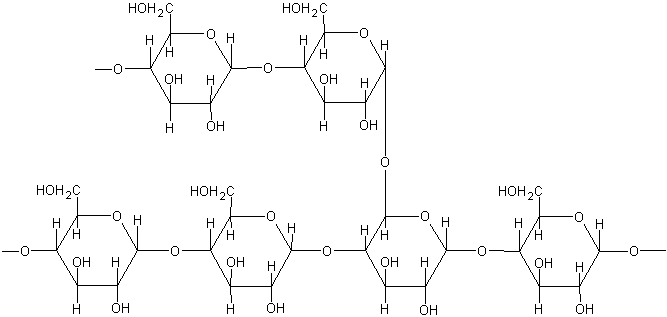 polysaccharides glycogen