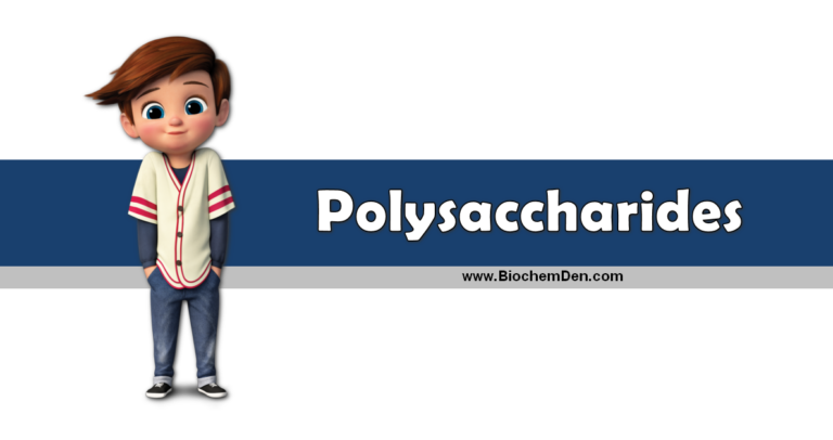 What are Polysaccharides and How it was Classified?