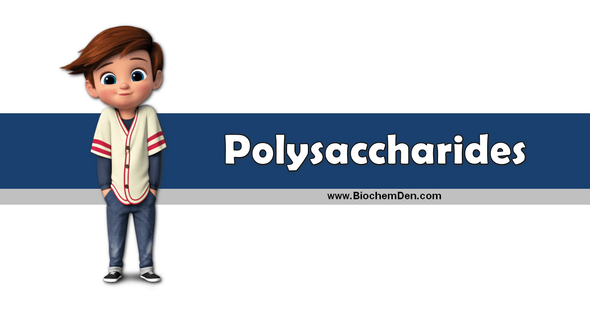 What are Polysaccharides and How it was Classified? polysaccharides and its types