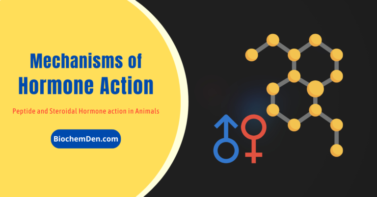 Mechanisms of Hormone Action in Animals