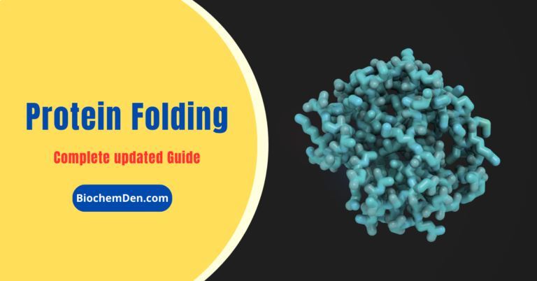 Protein Folding: The Intricate Process Behind Protein Structure and Function