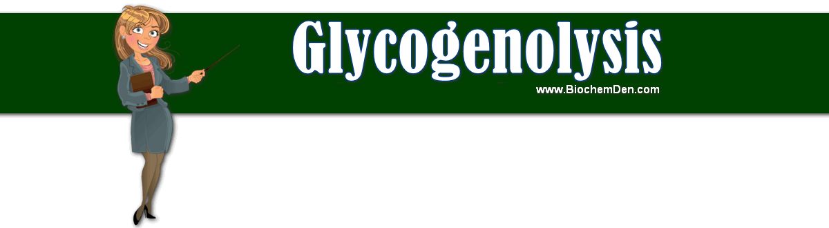 glycogenolysis