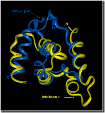 hiv ip17