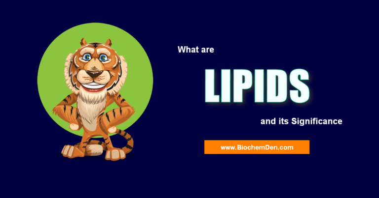 What are Lipids ? What are the Importance in Human Body