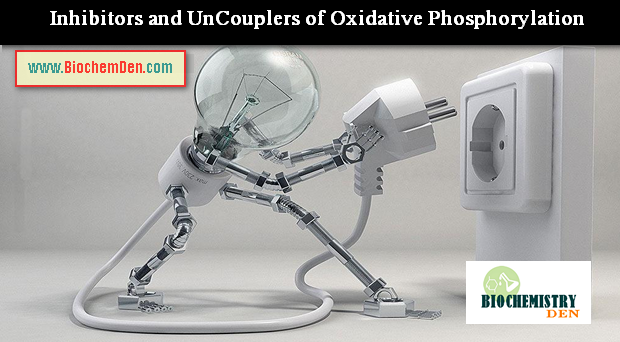 Inhibitors and UnCouplers of Oxidative Phosphorylation
