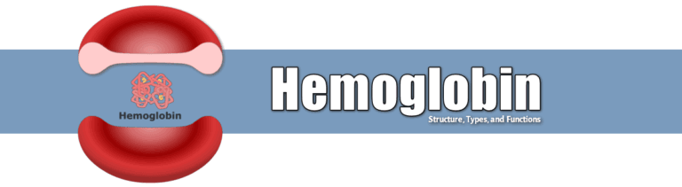 Hemoglobin: Structure, Function and its Properties