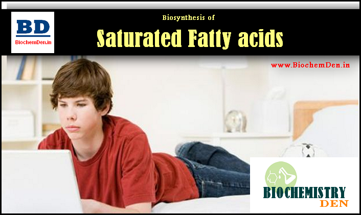 Biosynthesis of Saturated Fatty acids