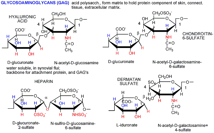 Polysaccharides: What Are Polysaccharides And Its Classify?