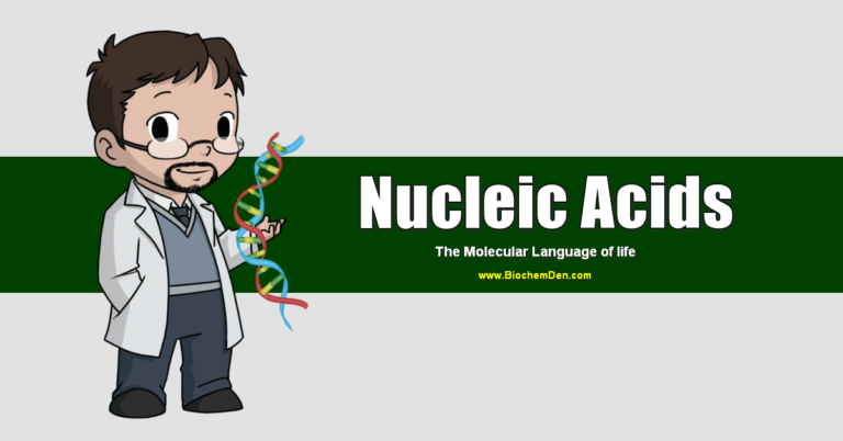 Nucleic Acids are the Molecular Language of life