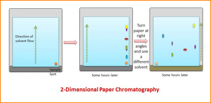 what does the term paper chromatography mean