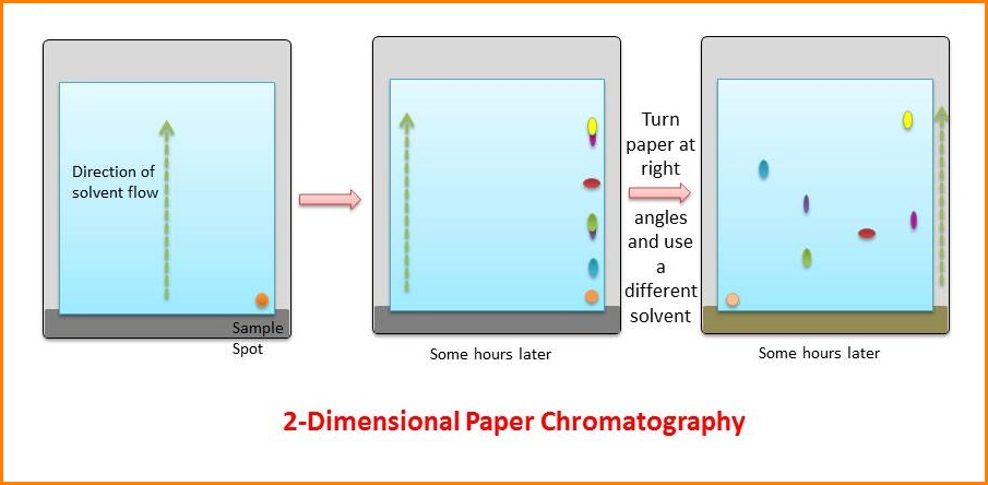 2-D paper Chromatogrpahy