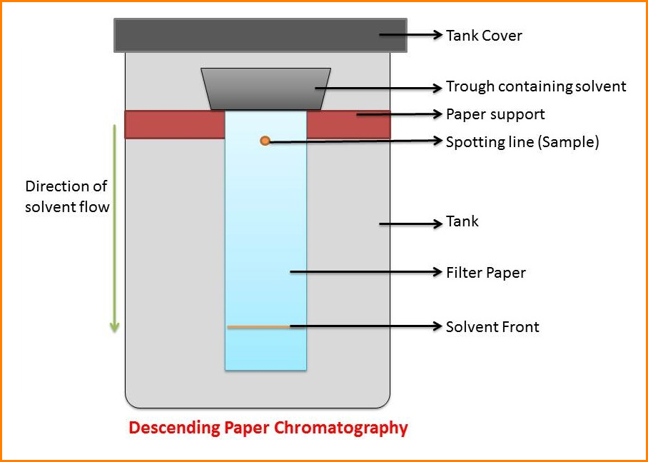 Descending Paper Chromatogrpahy