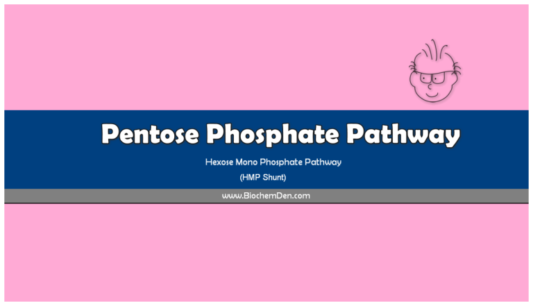 What is the Pentose Phosphate Pathway and its Significance? (HMP Shunt)