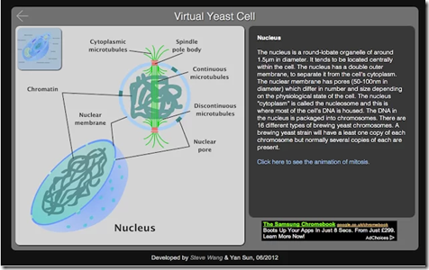 Virtual Yeast Cell