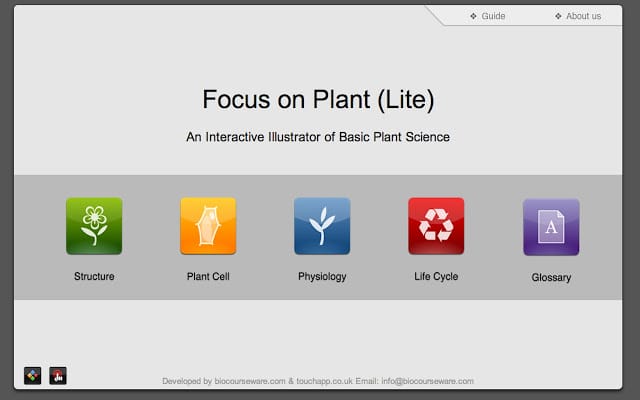 focus on plant