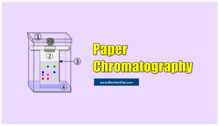 What is Paper Chromatography? Principle, Procedure, Types, and Applications