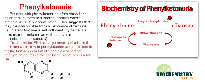 Phenylketonuria reasons